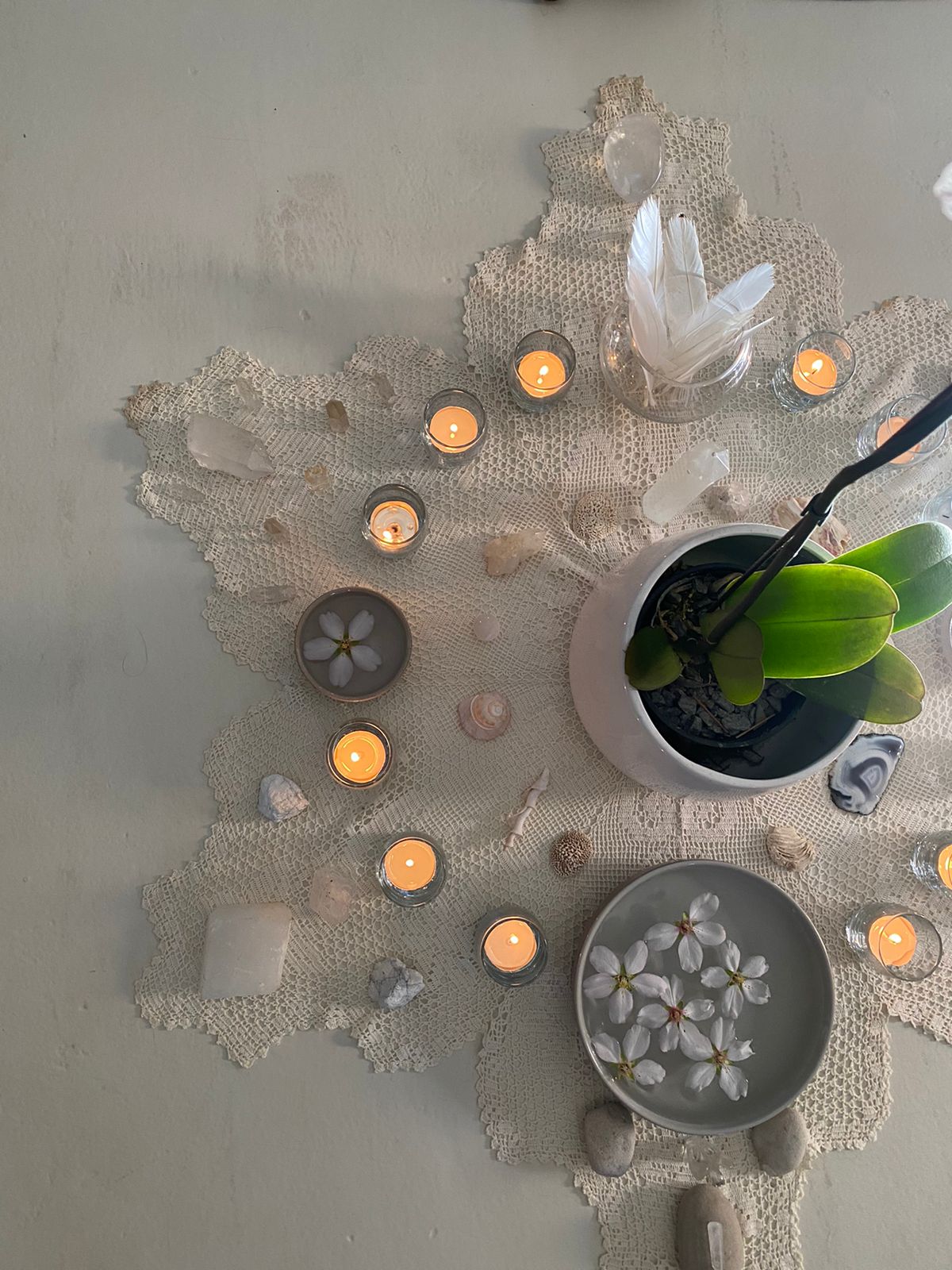 Tarien Roux_Deer Heart Coaching_Contact page_Connect with me one-on-one coaching sessions
